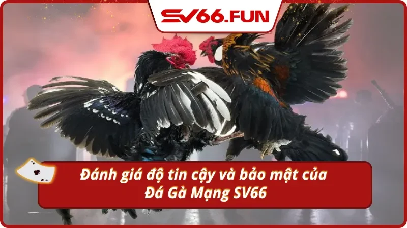 Sv66 - điểm chơi đá gà mạng uy tín số 1 hiện nay