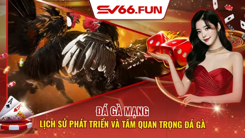 Đá Gà Mạng