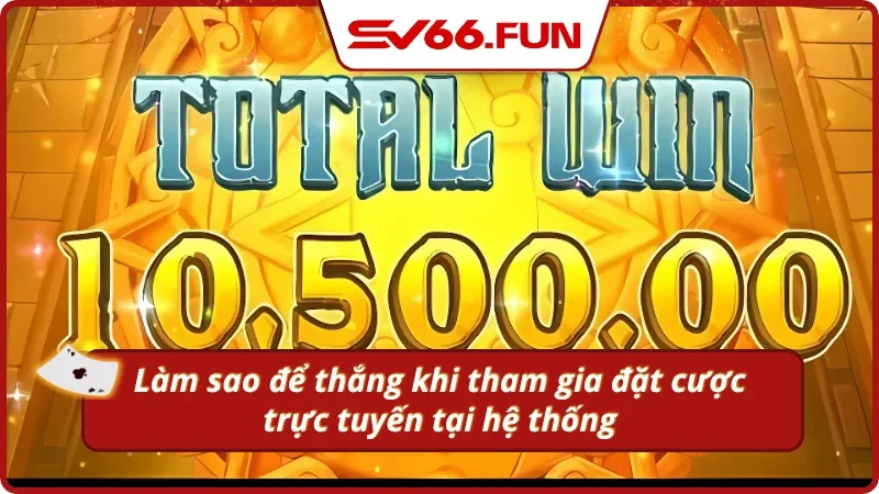 Cách để chiến thắng khi tham gia đặt cược Aztec