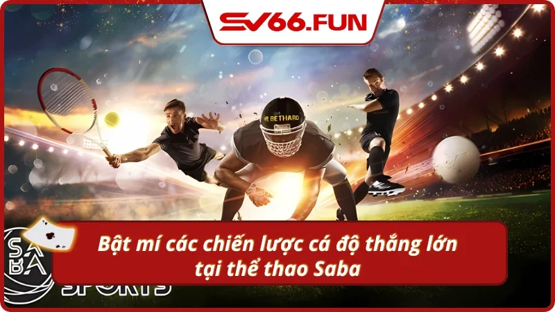Mẹo cá cược thể thao săn sạch tiền cược