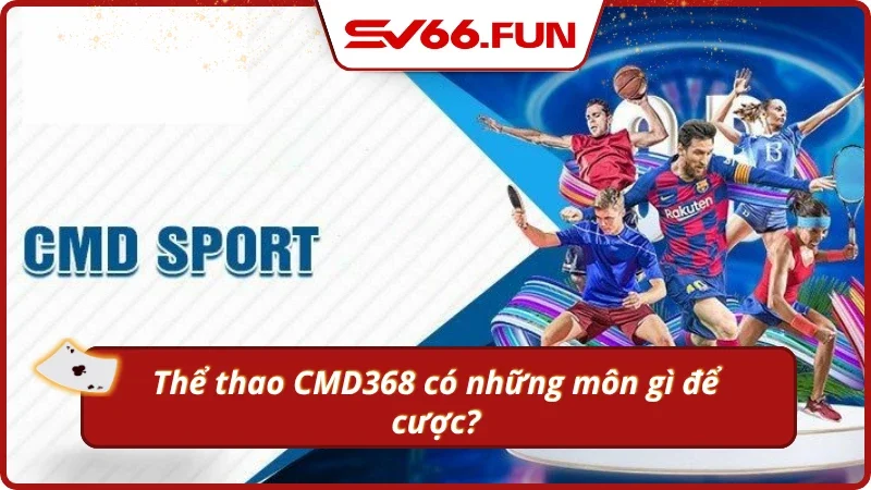 Các bộ môn cá cược nên tham gia tại sảnh thể thao