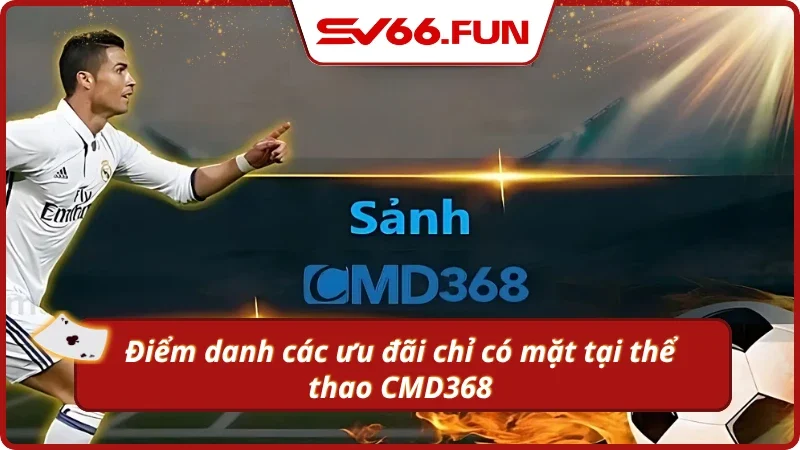 Các ưu đãi thường xuyên xuất hiện trong sảnh thể thao