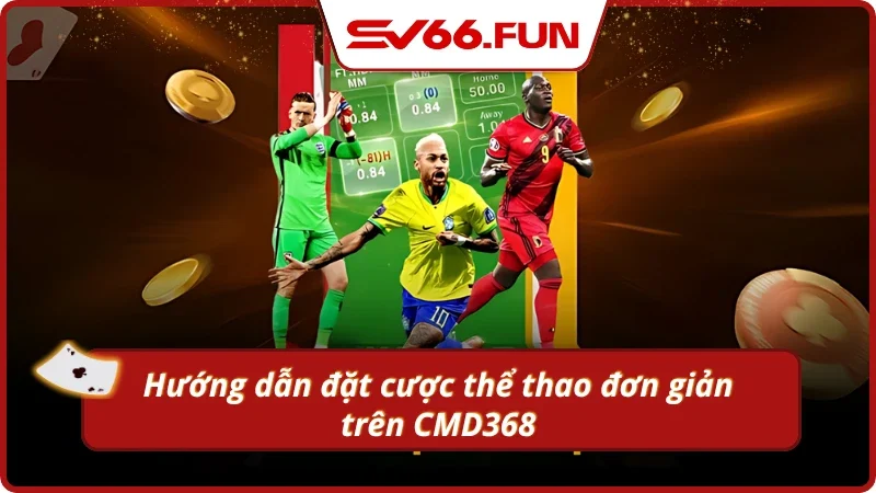 Quy trình tiến hành trải nghiệm sảnh thể thao CMD368